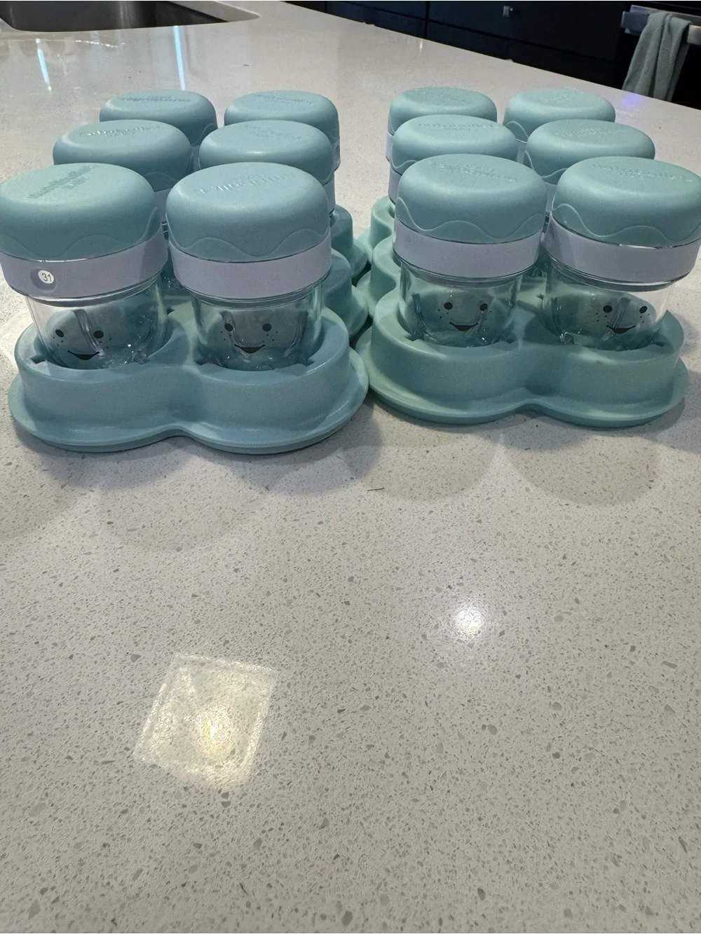 Nutribullet Baby Bullet Blender with Meal Prep Kit